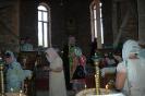 Торжественная встреча иконы святого праведного Иоанна Кронштадтского в Аскании-Нова. Июнь 2013