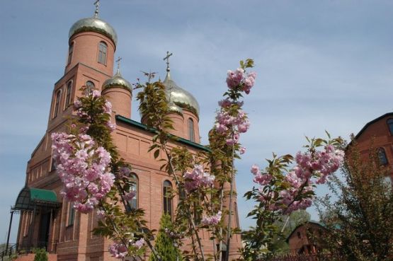 Пресвятая Богородице, спаси нас!