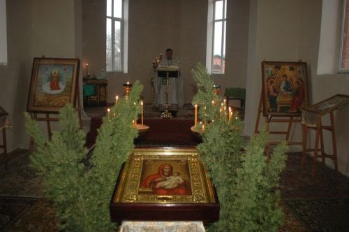 DSC 4557