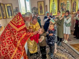Божественная литургия в с. Надеждовка