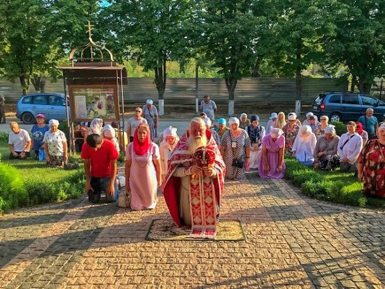 Традиционный Крестный ход из Чаплинки в Асканию-Нова