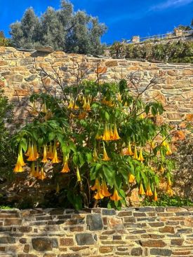 Фото к новости «Приобретение икон на Святой Горе Афон для нашего храма»