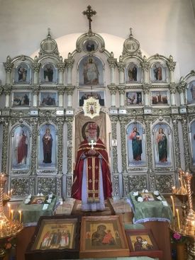 Традиционный Крестный ход из Чаплинки в Асканию-Нова